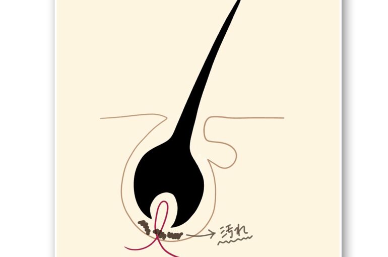 0951302D-0538-42EC-80AB-A8C3EAA90984